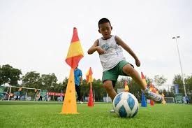 游泳比赛赛程与成绩汇总 重点项目表现突出